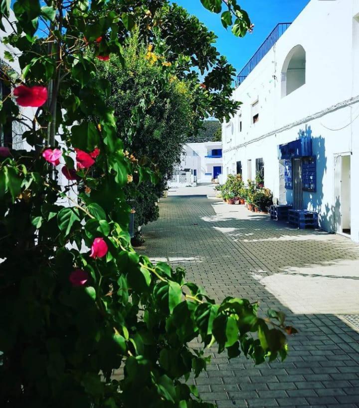 Casa Del Pez Vivienda A Pie De Calle En Agua Amarga A 250 Metros De La Playa Bagian luar foto